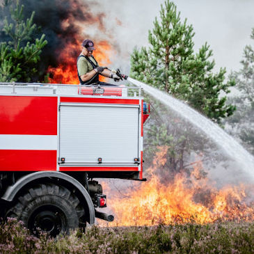 Latvian State Forest Service